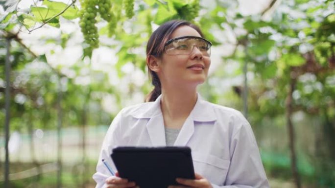 科学家使用平板电脑检查植物