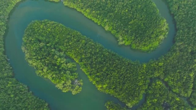 从水上俯瞰热带岛屿上的红树林。