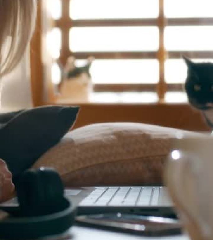 Cat女士困扰着一个试图在笔记本电脑上工作的女人