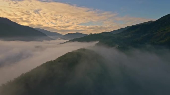 雾的鸟瞰图流过雨林山，多莉射击