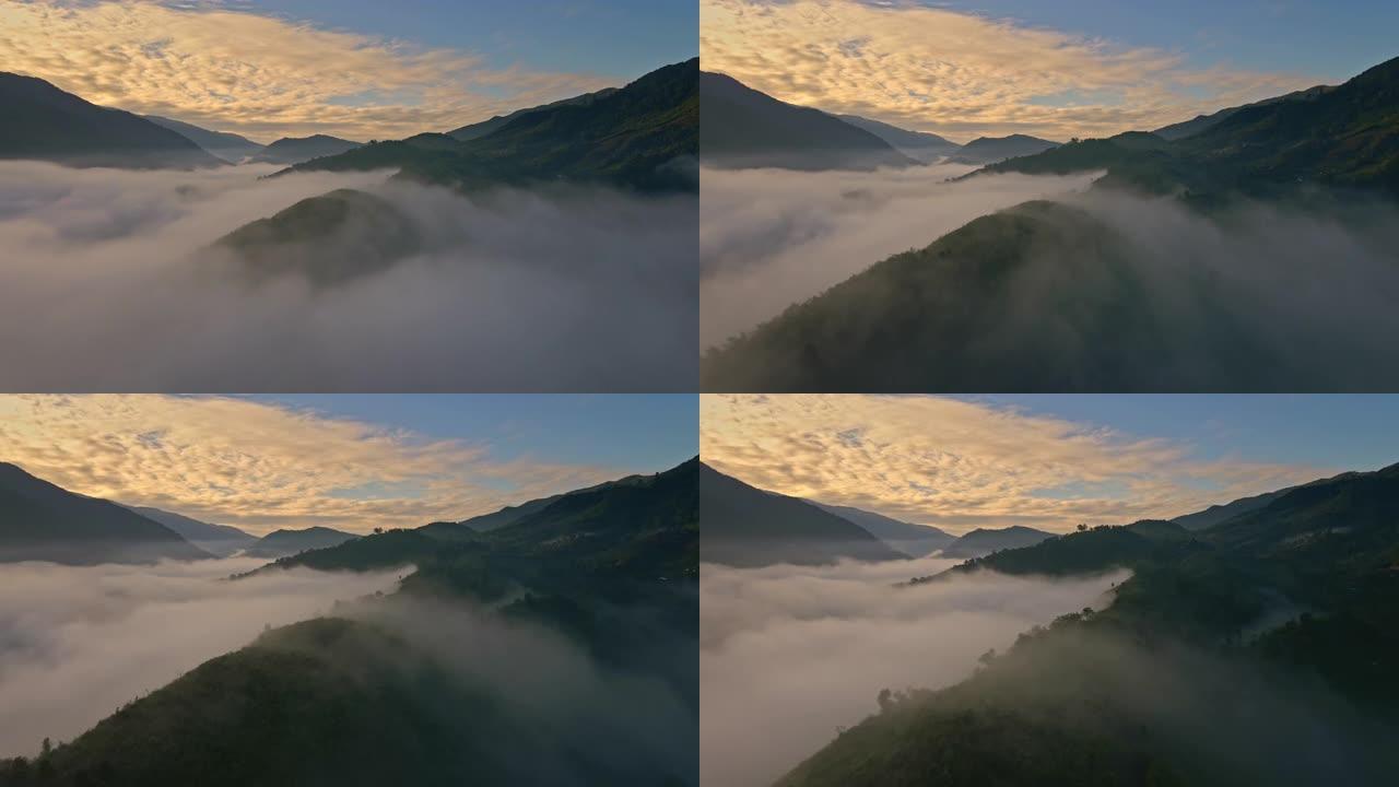 雾的鸟瞰图流过雨林山，多莉射击