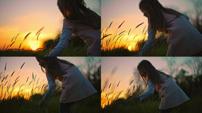 SLO MO可爱的小女孩在日落时在草地上采摘野花