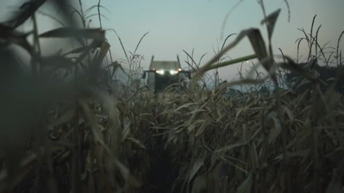 SLO MO联合收割机在黄昏时收获玉米