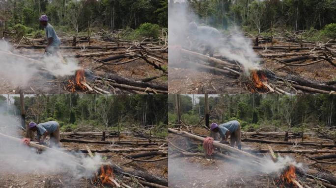 砍伐和焚烧自给自足的农民在热带雨林中燃烧树木。气候变化。森林砍伐