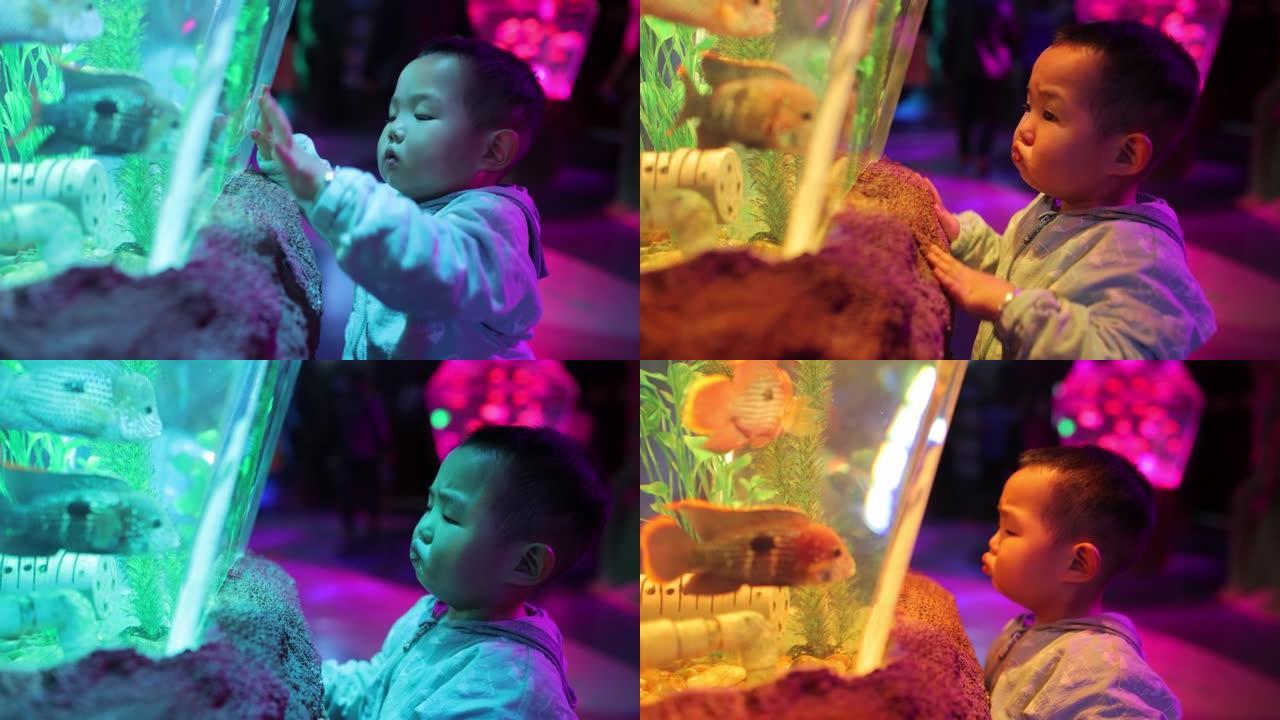 小男孩在水族馆里看着鱼