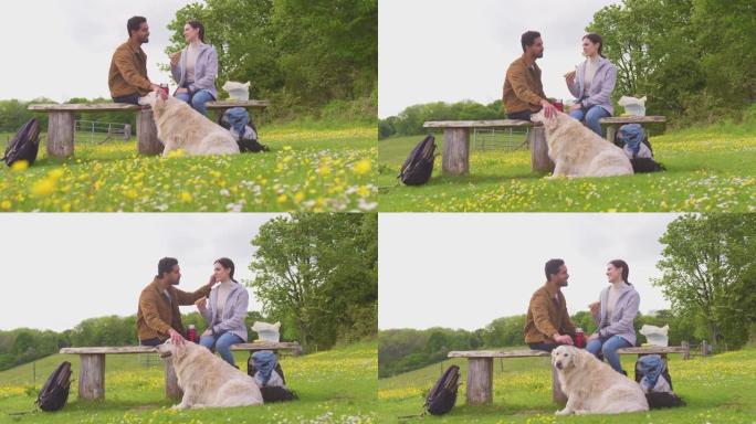 与宠物金毛寻回犬在乡村散步的夫妇坐在长凳上，一起享受野餐