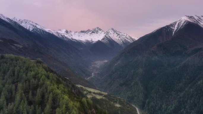 黄昏之下，雪山森林变得更加美丽