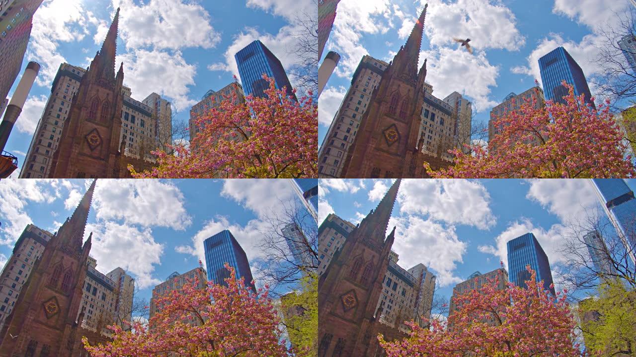 秋天的纽约天际线，低角度视角。教堂。公司和办公室。