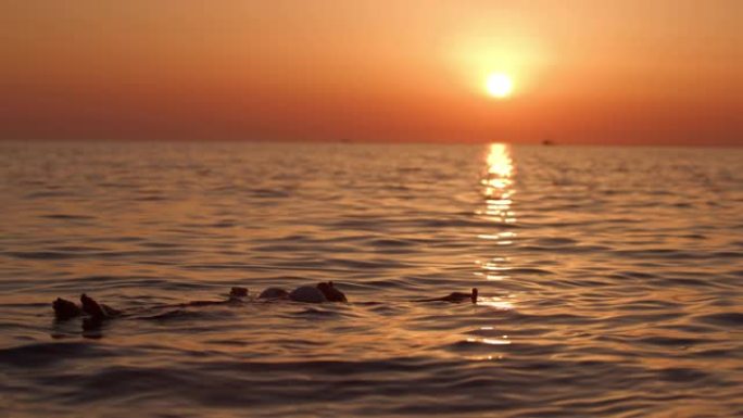 女士年轻女子在克罗地亚亚得里亚海日落时漂浮在宁静的海洋中
