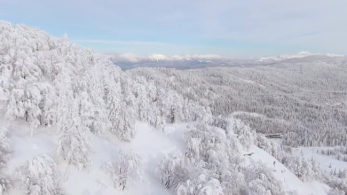 空中: 风景优美的无人机拍摄了被雪覆盖的Bohinj令人惊叹的高山自然风光。