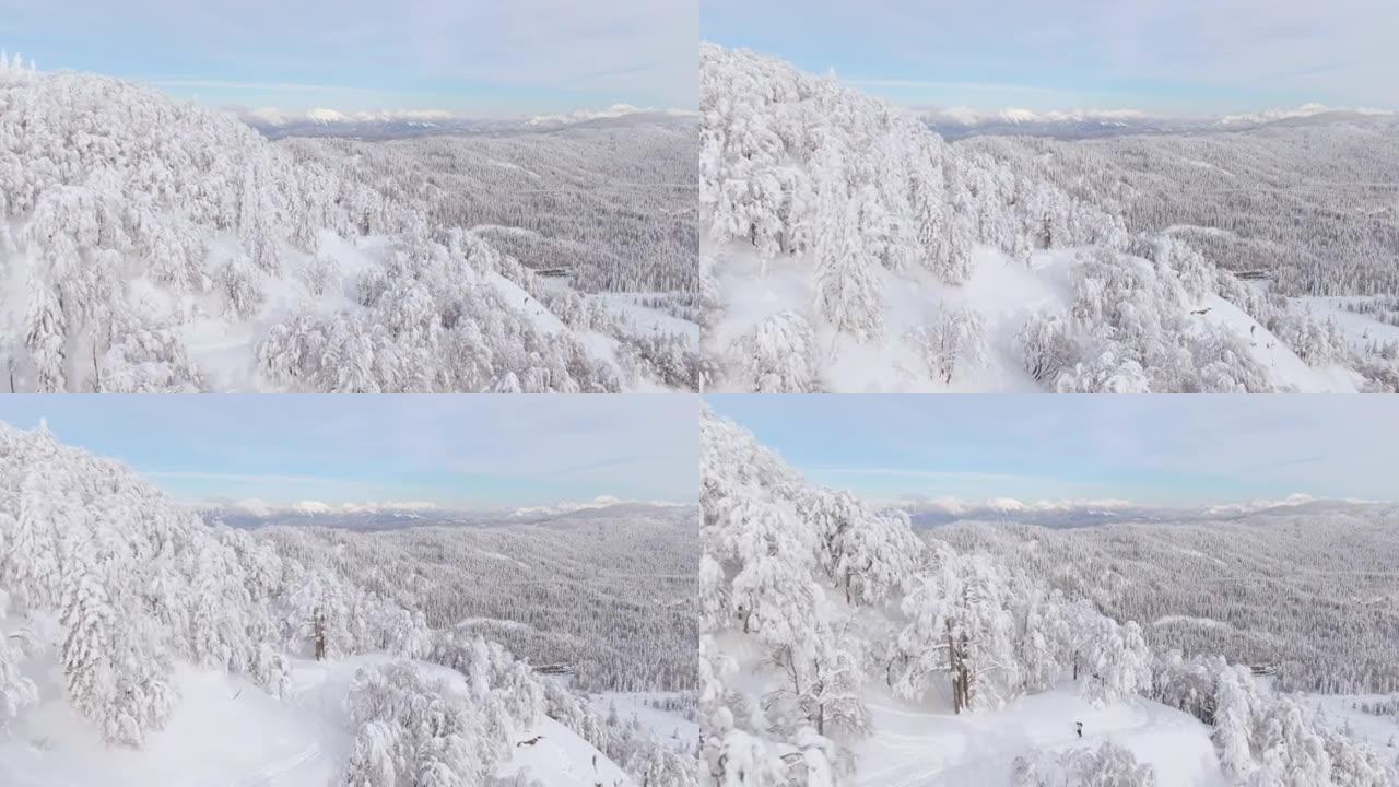 空中: 风景优美的无人机拍摄了被雪覆盖的Bohinj令人惊叹的高山自然风光。