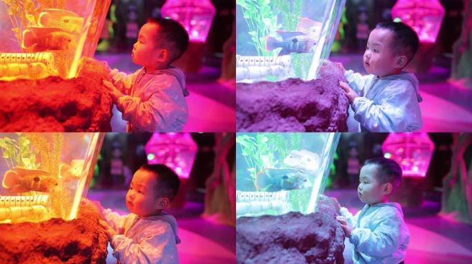小男孩在水族馆里看着鱼