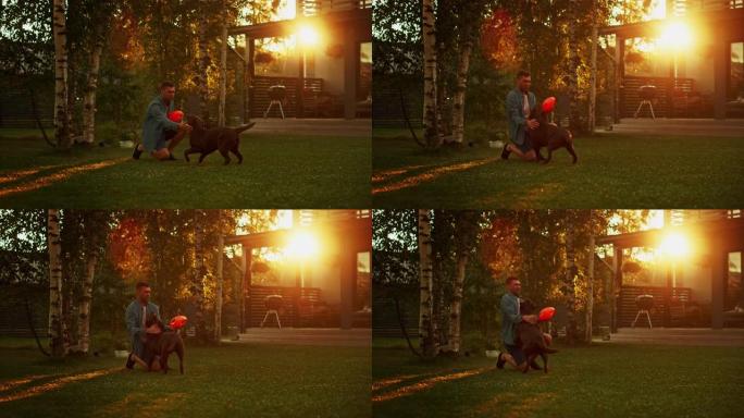 英俊的男人在后院的草坪上与快乐的棕色拉布拉多猎犬狗玩耍。男人在避暑别墅后院与忠诚的诺贝尔血统狗在户外