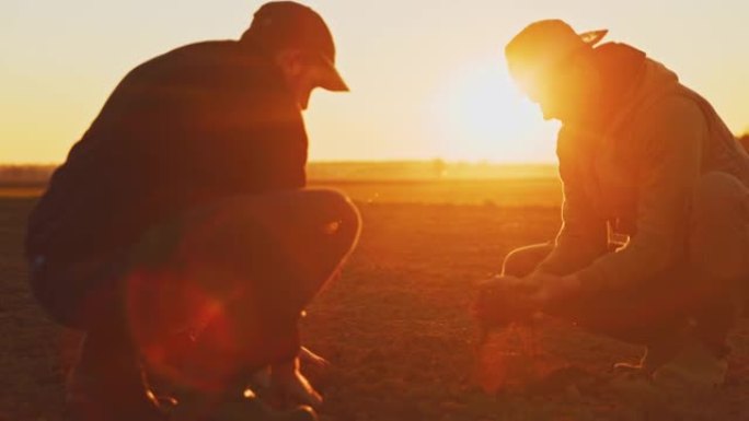 SLO MO三个农民在日落时检查田地中间的土壤