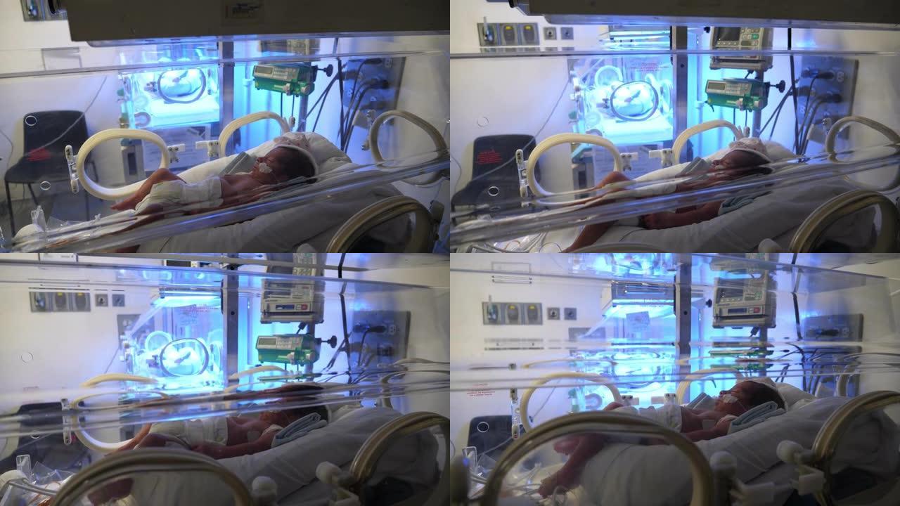 在NICU的带氧气的孵化器中，拉丁美洲的新生婴儿