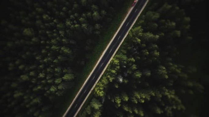 森林中的道路。空中射击