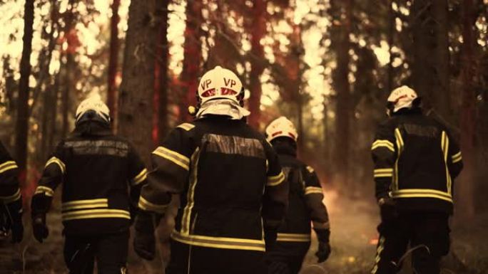跟随一群消防员在野外森林深处调查火源的镜头。经验丰富的消防员在火焰蔓延并造成危险的生态灾难之前及时赶