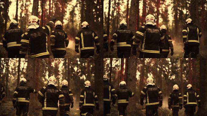 跟随一群消防员在野外森林深处调查火源的镜头。经验丰富的消防员在火焰蔓延并造成危险的生态灾难之前及时赶