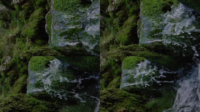垂直: 沿着长满苔藓的河床流下的玻璃状溪流的详细镜头