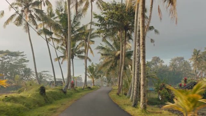 pov在热带岛屿上驾驶早雾中的稻田4k度假概念