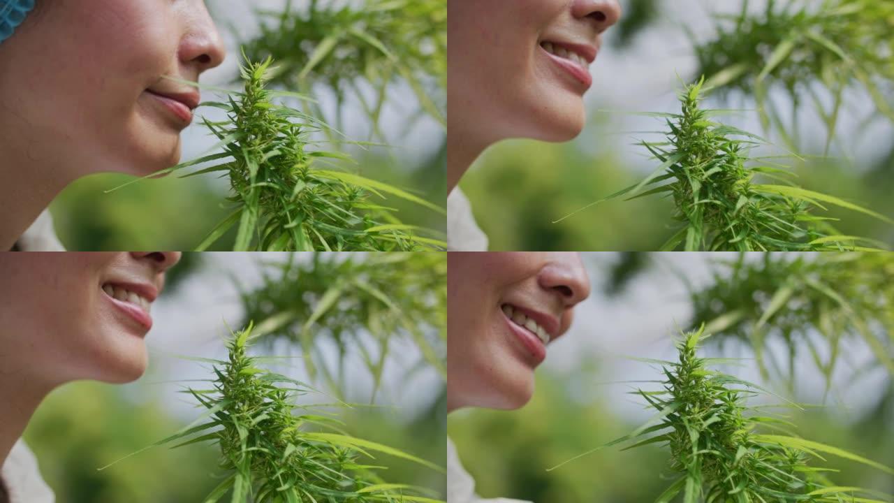女性面部部分在新鲜大麻顶部出芽，人类鼻子和