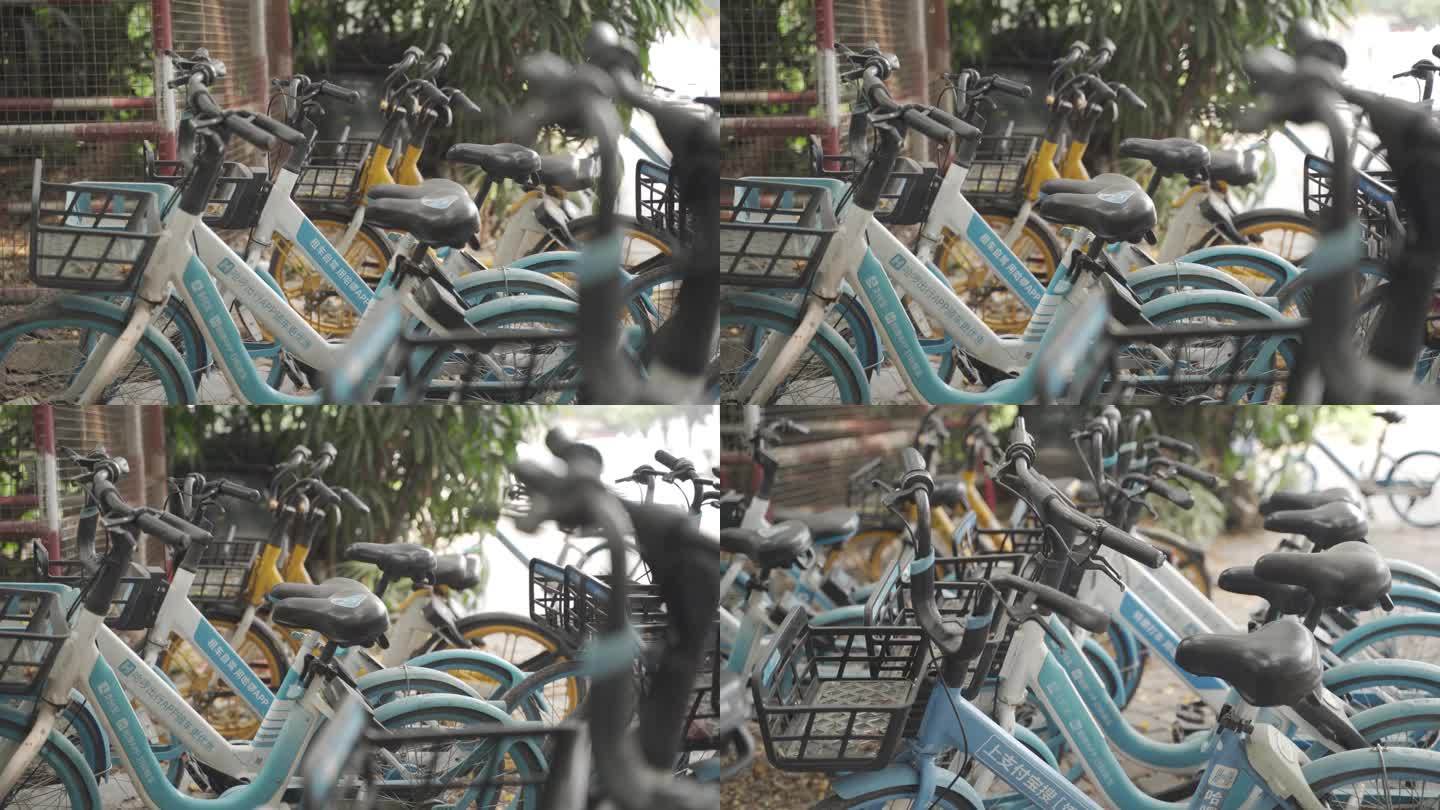 共享电单车 哈罗自行车 4K实拍