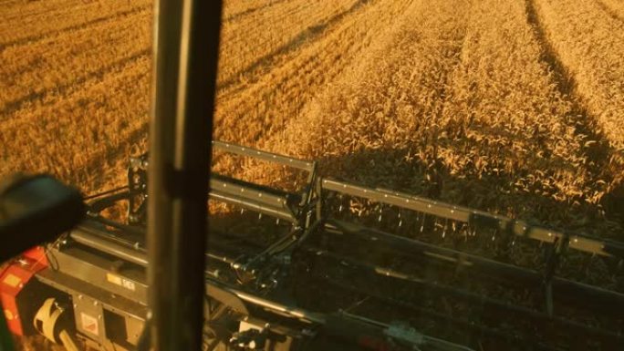 查看正在运行的联合收割机，脱粒黄金小麦作物