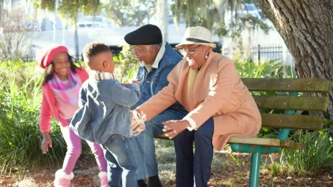 两个黑人孙子在公园长椅上与祖父母一起