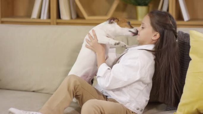 可爱的狗在沙发上舔小女孩的脸