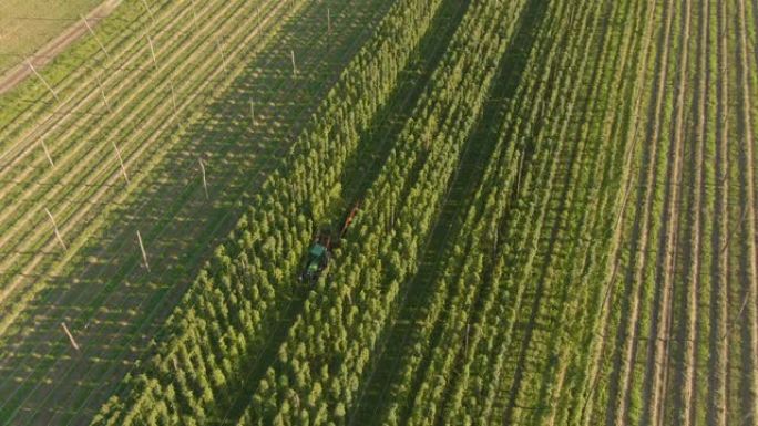 空中: 飞往农民，在阳光明媚的斯洛文尼亚乡村收获农作物