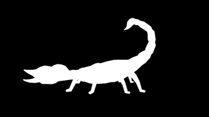 黑色背景上垂死的蝎子剪影。动物的概念，野生动物，游戏，返校，3d动画，短视频，电影，卡通，有机，色键