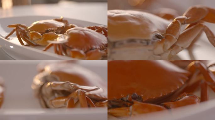 清蒸螃蟹取蟹黄取蟹肉掀开蟹壳河鲜生鲜海鲜