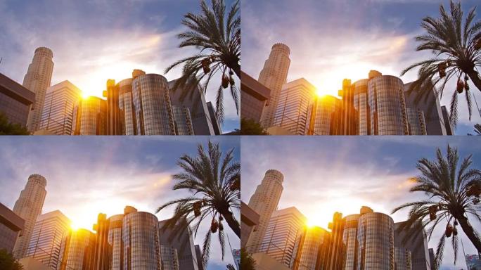 洛杉矶金融区的太阳。棕榈树。