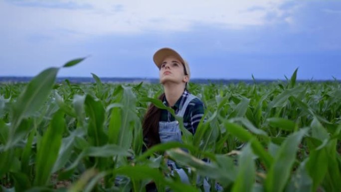 棕色长发的农夫妇女坐在她的农业玉米田里，仰望天空检查天气状况