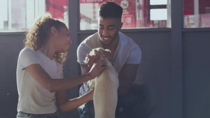 4k视频片段，一对年轻夫妇在动物收容所与她新收养的狗建立联系