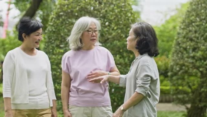 退休的中国妇女在公园享受春日