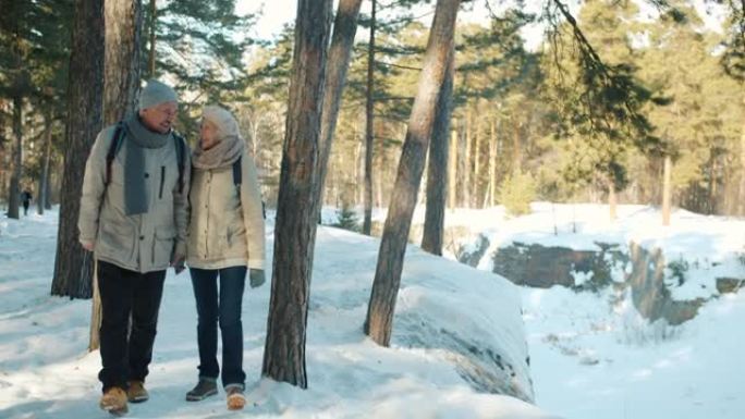 多莉在冬季森林中享受散步的幸福夫妇的镜头