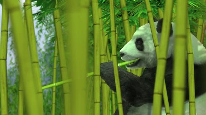 竹林中的熊猫熊