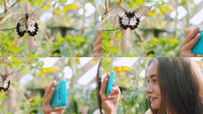 女孩，蝴蝶和电话用于自然图片，植物和树叶用于社交媒体，博客或在线文章。巴西公园的社交网络用树木拍摄的