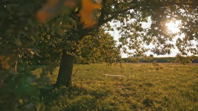 慢动作，手持拍摄的空绳秋千悬挂在阳光明媚的草地上的大树枝上