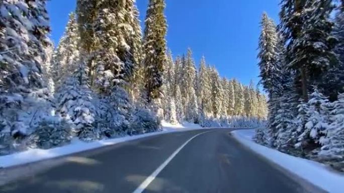 冬天沿着白雪密林在空旷的道路上行驶