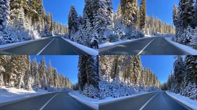 冬天沿着白雪密林在空旷的道路上行驶