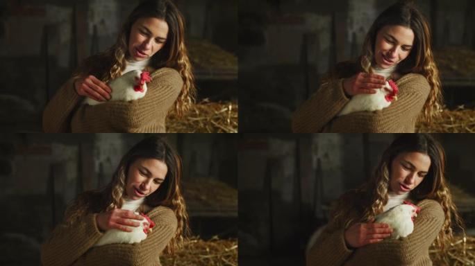 年轻快乐的女农场主的电影镜头在乡村农业农场的干草仓里爱抚着生态生长的白母鸡，用于生物真正的食品行业。