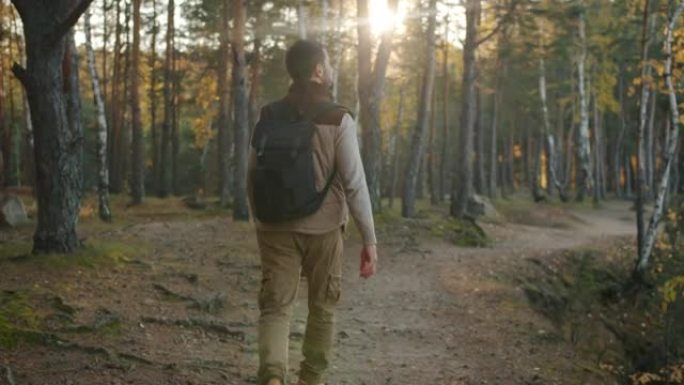 年轻徒步旅行者带着背包在树林里散步的后视图，看着美丽的秋天自然