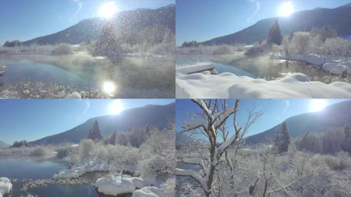 空中: 令人惊叹的Zelenci温泉自然保护区和深雪中的高山景观