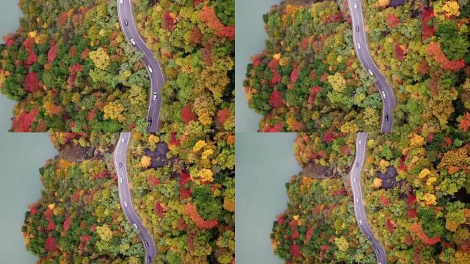 日本河流附近秋季森林变色的道路俯视图