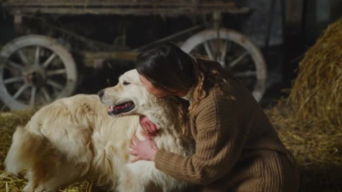 《幸福的女人》的电影镜头在乡村农场的干草谷仓里一起玩乐时，正在爱抚和亲吻她的血统金毛狗。概念: 对动