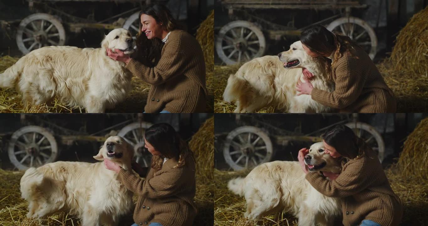 《幸福的女人》的电影镜头在乡村农场的干草谷仓里一起玩乐时，正在爱抚和亲吻她的血统金毛狗。概念: 对动