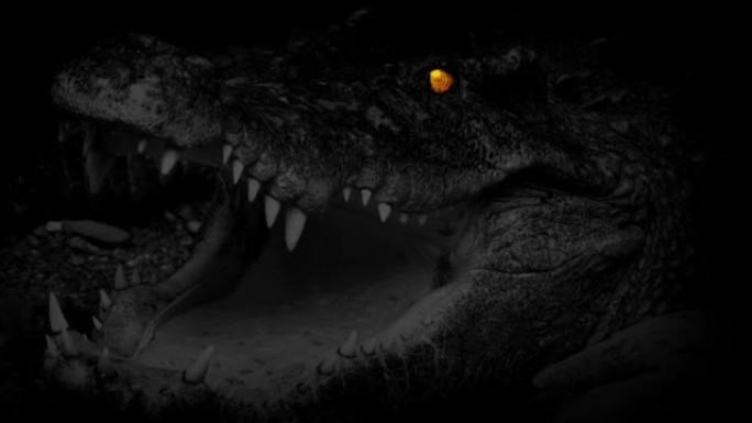 大鳄鱼在黑暗中张开嘴，发光的眼睛