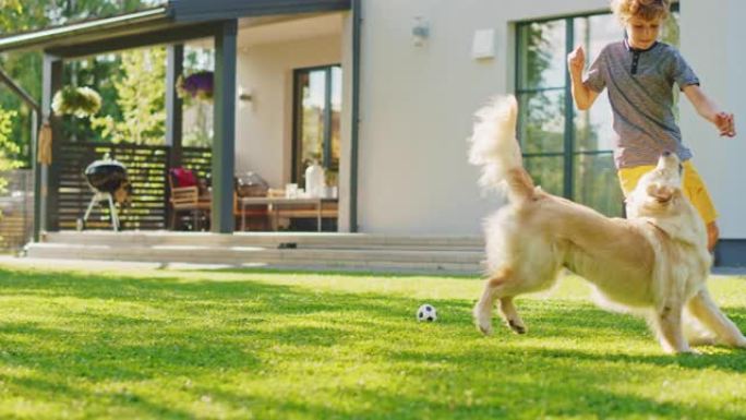 英俊的小男孩在后院草坪上与快乐的金毛寻回犬踢足球。他宠物，踢足球，和他忠实的狗狗朋友玩得很开心。田园